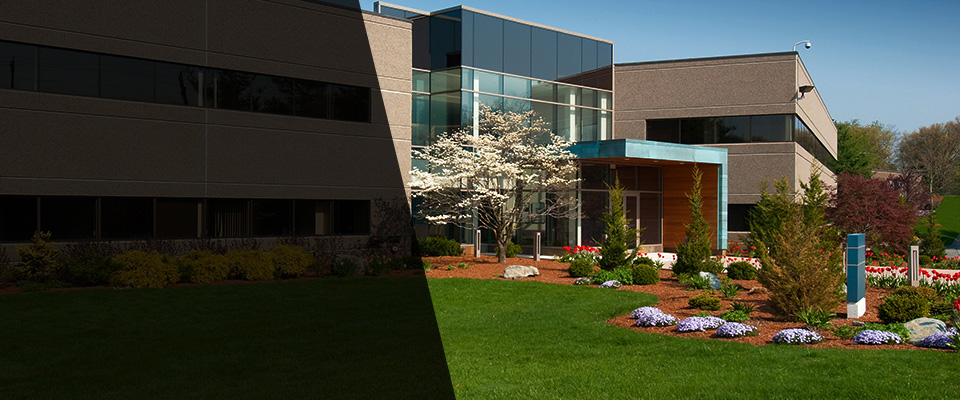 Dividing Creek Landscapers