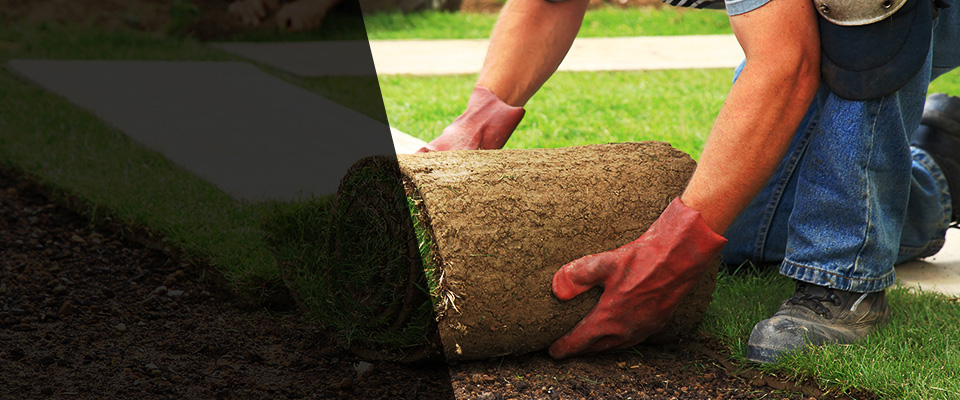 Dividing Creek Landscapers